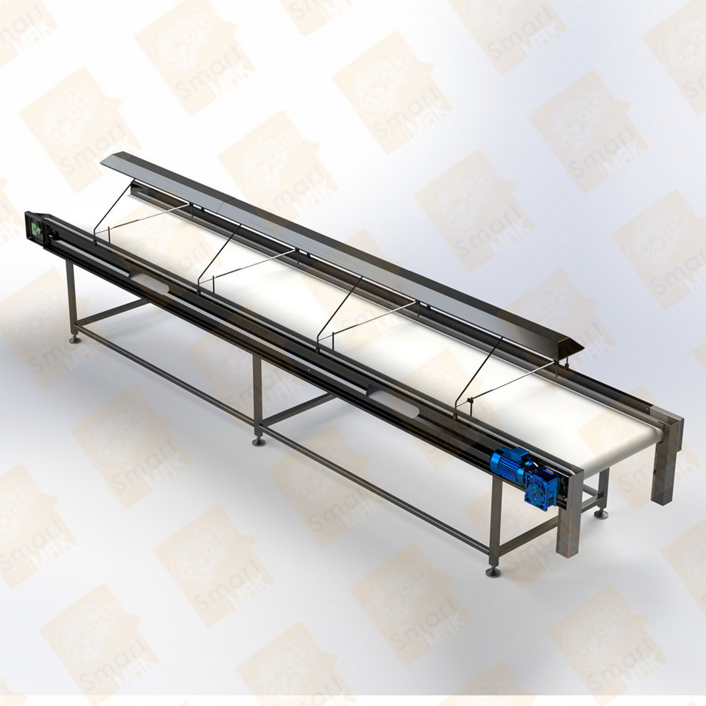 Visual Inspection and Sorting Conveyor
