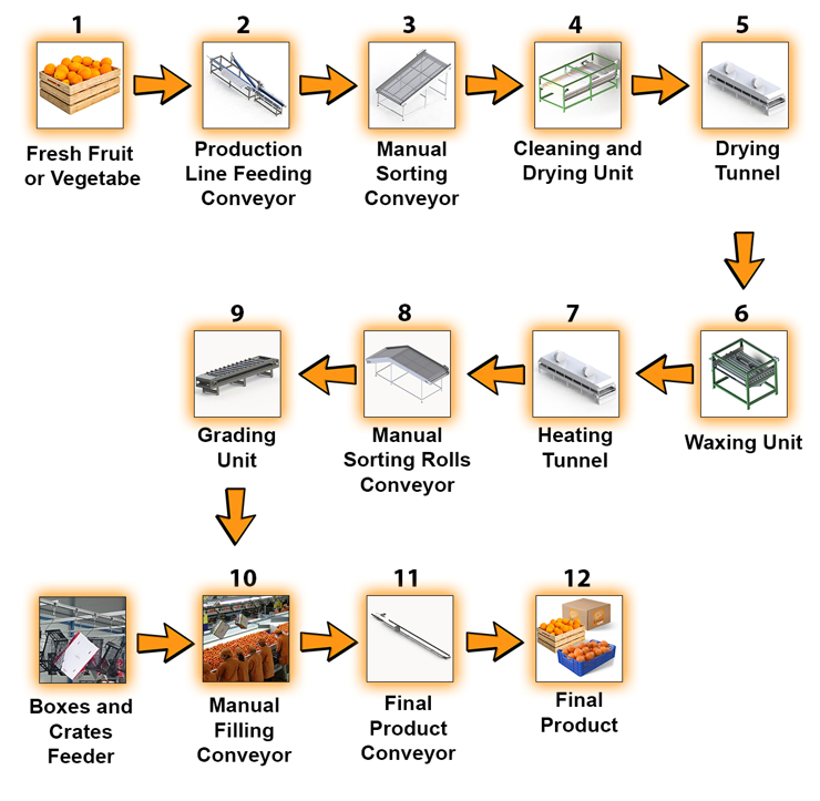 Fruit and Vegetable Cleaning Packing Production Line