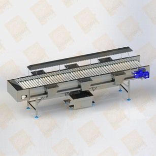 Roller Visual  Inspection and Sorting Conveyor